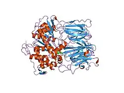1o6g: PROLYL OLIGOPEPTIDASE FROM PORCINE BRAIN, D641N MUTANT WITH BOUND PEPTIDE LIGAND SUC-GLY-PRO