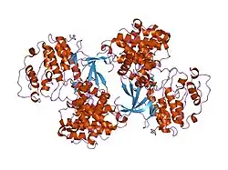 1okv: CYCLIN A BINDING GROOVE INHIBITOR H-ARG-ARG-LEU-ILE-PHE-NH2