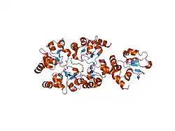 1oxq: Structure and Function Analysis of Peptide Antagonists of Melanoma Inhibitor of Apoptosis (ML-IAP)