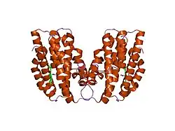 1ozl: Crystal Structures of the Ferric, Ferrous, and Ferrous-NO Forms of the Asp140Ala Mutant of Human Heme Oxygenase-1: Catalytic Implications