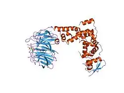 1p22: Structure of a beta-TrCP1-Skp1-beta-catenin complex: destruction motif binding and lysine specificity on the SCFbeta-TrCP1 ubiquitin ligase