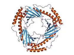 1p32: CRYSTAL STRUCTURE OF HUMAN P32, A DOUGHNUT-SHAPED ACIDIC MITOCHONDRIAL MATRIX PROTEIN