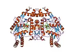 1p6m: Bovine endothelial NOS heme domain with (4S)-N-(4-amino-5-[aminoethyl]aminopentyl)-N'-nitroguanidine bound