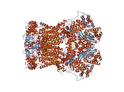 1ppj: Bovine cytochrome bc1 complex with stigmatellin and antimycin