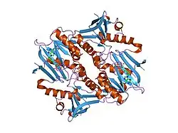 1px2: Crystal Structure of Rat Synapsin I C Domain Complexed to Ca.ATP (Form 1)