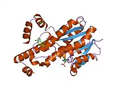 1qyw: Crystal structure of human estrogenic 17beta-hydroxysteroid dehydrogenase comlex with androstanedione and NADP