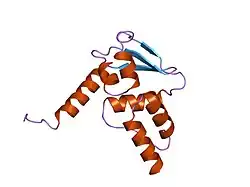 1r29: Crystal Structure of the B-Cell Lymphoma 6 (BCL6) BTB Domain to 1.3 Angstrom