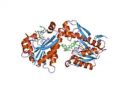 1rbz: Human GAR Tfase complex structure with polyglutamated 10-(trifluoroacetyl)-5,10-dideazaacyclic-5,6,7,8-tetrahydrofolic acid