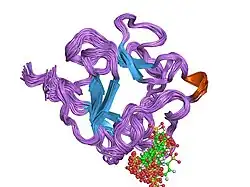 1rml: NMR STUDY OF ACID FIBROBLAST GROWTH FACTOR BOUND TO 1,3,6-NAPHTHALENE TRISULPHONATE, 26 STRUCTURES