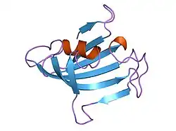 1rot: STRUCTURE OF FKBP59-I, THE N-TERMINAL DOMAIN OF A 59 KDA FK506-BINDING PROTEIN, NMR, MINIMIZED AVERAGE STRUCTURE