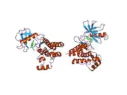 1sm2: Crystal structure of the phosphorylated Interleukin-2 tyrosine kinase catalytic domain