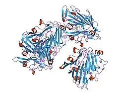 1so0: Crystal structure of human galactose mutarotase complexed with galactose