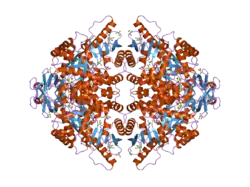 1t5a: Human Pyruvate Kinase M2