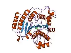 1t69: Crystal Structure of human HDAC8 complexed with SAHA