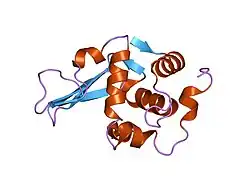 1tay: DISSECTION OF THE FUNCTIONAL ROLE OF STRUCTURAL ELEMENTS OF TYROSINE-63 IN THE CATALYTIC ACTION OF HUMAN LYSOZYME