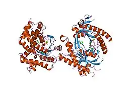 1u0h: STRUCTURAL BASIS FOR THE INHIBITION OF MAMMALIAN ADENYLYL CYCLASE BY MANT-GTP