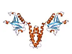 1u5e: Crystal Structure of a N-terminal Fragment of SKAP-Hom Containing Both the Helical Dimerization Domain and the PH Domain