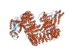 1u6g: Crystal Structure of The Cand1-Cul1-Roc1 Complex
