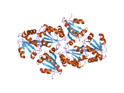 1uvz: STRUCTURE OF HUMAN THIOREDOXIN 2