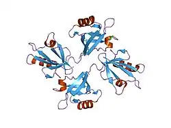 1v1t: CRYSTAL STRUCTURE OF THE PDZ TANDEM OF HUMAN SYNTENIN IN COMPLEX WITH TNEYKV PEPTIDE