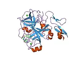 1v3x: Factor Xa in complex with the inhibitor 1-[6-methyl-4,5,6,7-tetrahydrothiazolo(5,4-c)pyridin-2-yl] carbonyl-2-carbamoyl-4-(6-chloronaphth-2-ylsulphonyl)piperazine