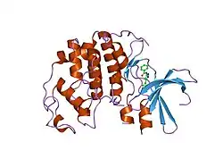 1vyz: STRUCTURE OF CDK2 COMPLEXED WITH PNU-181227