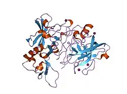 1w50: APO STRUCTURE OF BACE (BETA SECRETASE)