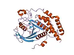 1wch: CRYSTAL STRUCTURE OF PTPL1 HUMAN TYROSINE PHOSPHATASE MUTATED IN COLORECTAL CANCER - EVIDENCE FOR A SECOND PHOSPHOTYROSINE SUBSTRATE RECOGNITION POCKET