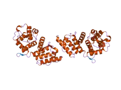 1wku: High resolution structure of the human alpha-actinin isoform 3