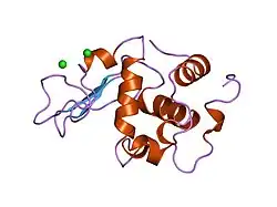 1wqo: CONTRIBUTION OF HYDROGEN BONDS TO THE CONFORMATIONAL STABILITY OF HUMAN LYSOZYME