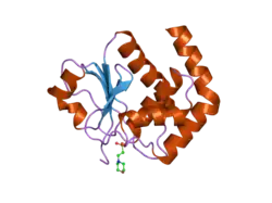 1wrm: Crystal structure of JSP-1