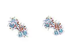 1xfd: Structure of a human A-type Potassium Channel Accelerating factor DPPX, a member of the dipeptidyl aminopeptidase family
