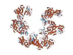 1xfz: Crystal structure of anthrax edema factor (EF) in complex with calmodulin in the presence of 1 millimolar exogenously added calcium chloride
