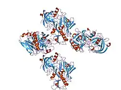 1xn2: New substrate binding pockets for beta-secretase.
