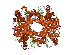 1y2z: T-To-T(High) quaternary transitions in human hemoglobin: betaV34G deoxy low-salt (1 test set)