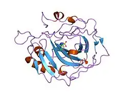 1ydd: STRUCTURAL BASIS OF INHIBITOR AFFINITY TO VARIANTS OF HUMAN CARBONIC ANHYDRASE II