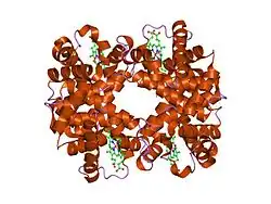 1yeu: T-To-T(High) quaternary transitions in human hemoglobin: betaW37G OXY (10 test sets)