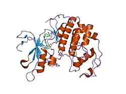 1ykr: Crystal structure of cdk2 with an aminoimidazo pyridine inhibitor