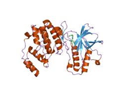 1yw2: Mutated Mus musculus p38 kinase (mp38)