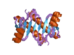 1z09: Solution structure of km23