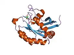 1z0f: GDP-Bound Rab14 GTPase