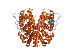 1zky: Human Estrogen Receptor Alpha Ligand-Binding Domain In Complex With OBCP-3M and A Glucocorticoid Receptor Interacting Protein 1 Nr Box II Peptide