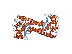 1zsp: Contribution to Structure and Catalysis of Tyrosine 34 in Human Manganese Superoxide Dismutase