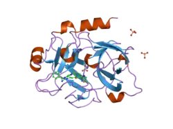 1ztj: Crystal Structure of the Catalytic Domain of Coagulation Factor XI in Complex with 2-(5-Benzylamino-2-methylsulfanyl-6-oxo-6H-pyrimidin-1-yl)-N-[4-guanidino-1-(thiazole-2-carbonyl)-butyl]-acetamide