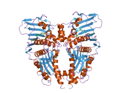 1zxm: Human Topo IIa ATPase/AMP-PNP