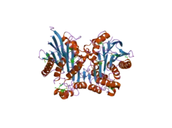2a8i: Crystal Structure of human Taspase1