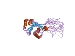 2arf: Solution structure of the Wilson ATPase N-domain in the presence of ATP