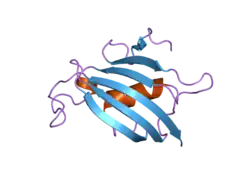 2awg: Structure of the PPIase domain of the Human FK506-binding protein 8