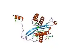 2b3v: Spermine spermidine acetyltransferase in complex with acetylcoa, K26R mutant
