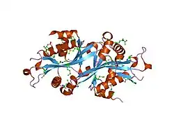 2b4d: SSAT+COA+SP- SP disordered